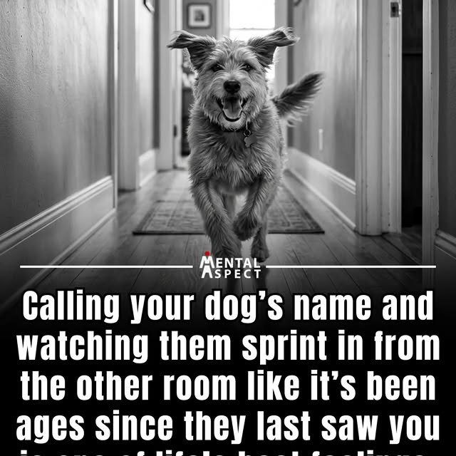  .......aspect   'recent posts' 