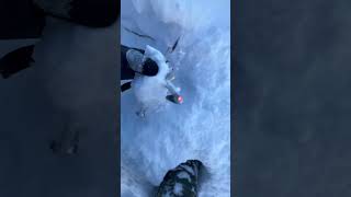  ......erting  'recent videos' 