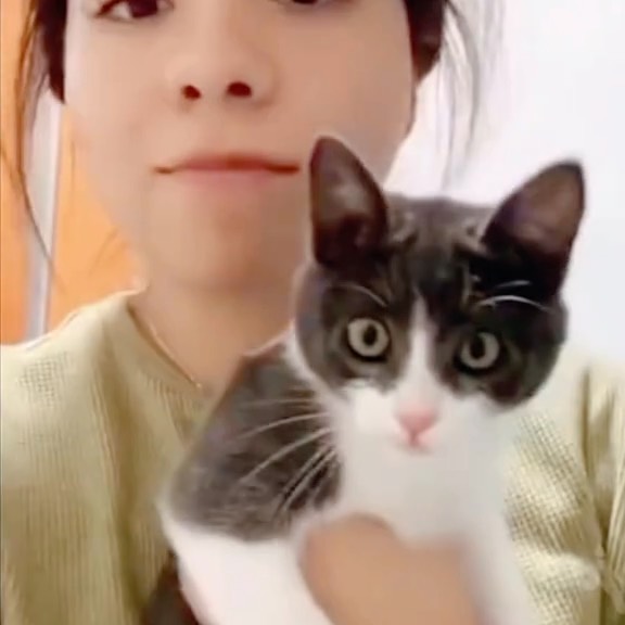  .....fweek   'recent posts' 