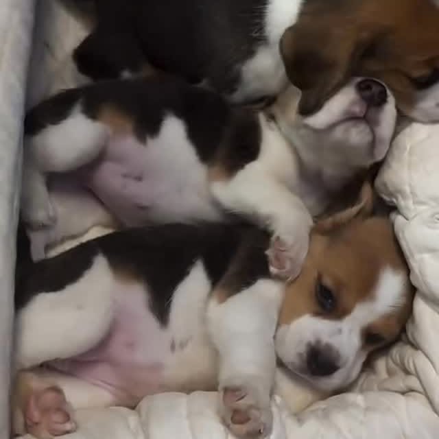  ......orable   'recent posts' 