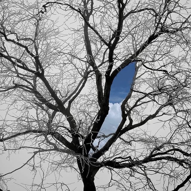  .....ervor   'recent posts' 