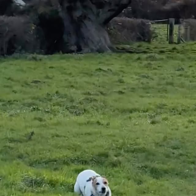  .......sell_luc   'recent posts' 