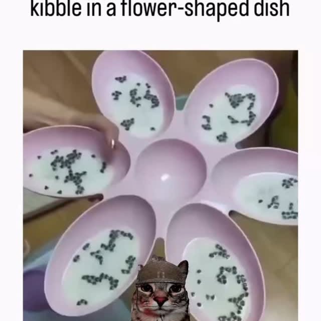  ....eowsy   'recent posts' 