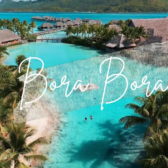  ............ng_gentlemen   'recent posts' 