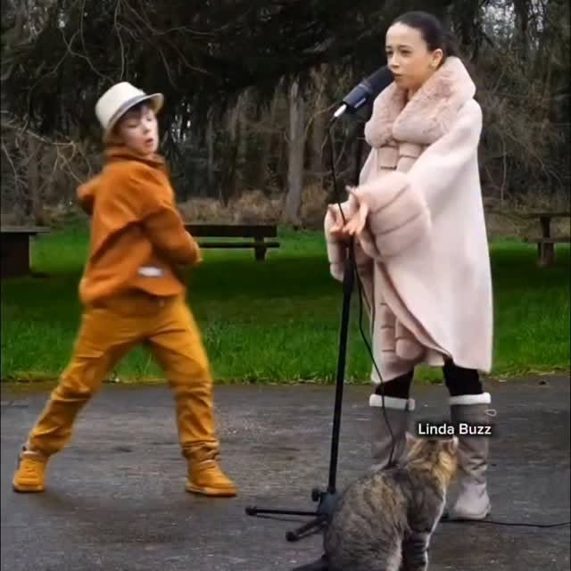  .........z.official   'recent posts' 