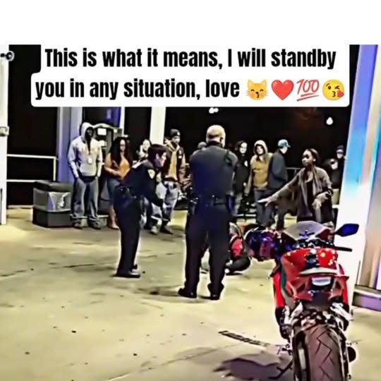  ........ial.crush   'recent posts' 