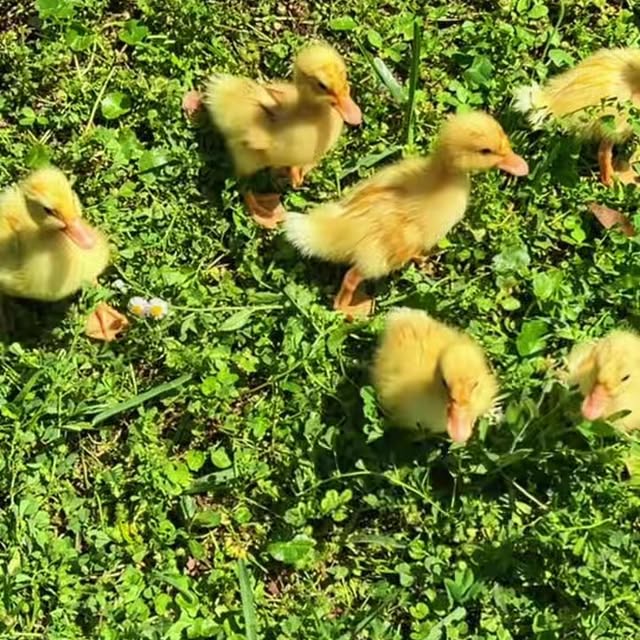  ........ckstatue   'recent posts' 