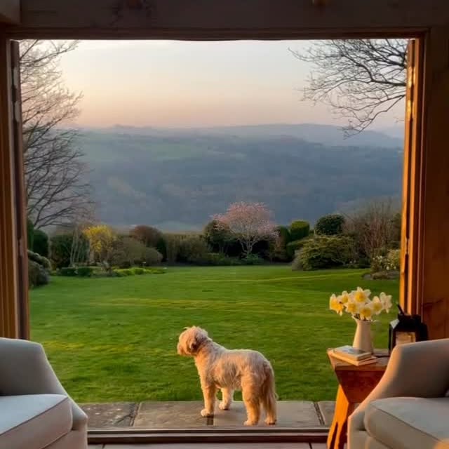  ....temag   'recent posts' 