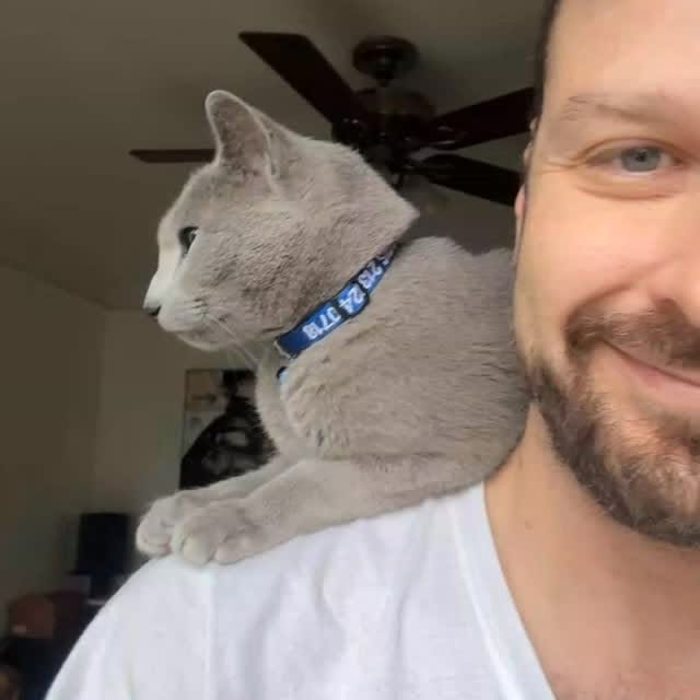  ......n_boris   'recent posts' 