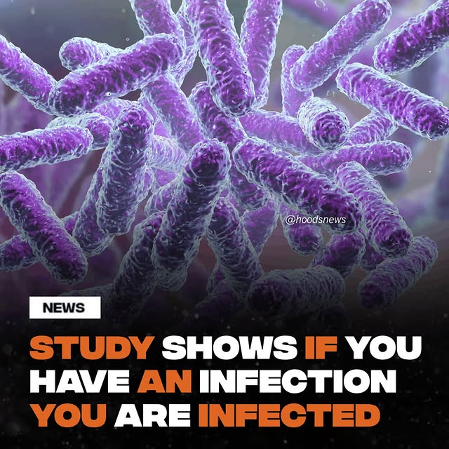  .....nisher   'recent posts' 