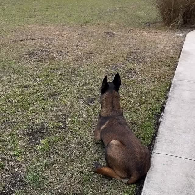  ...urre   'recent posts' 