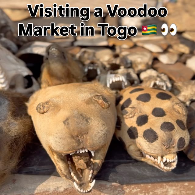  ......ewenham   'recent posts' 