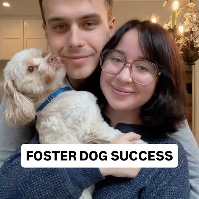  ........adkinson   'recent posts' 