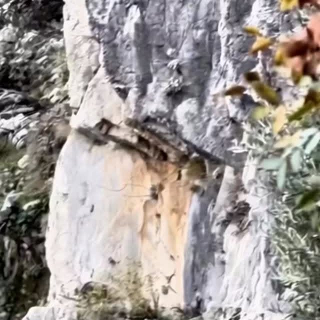  .......sdecors   'recent posts' 