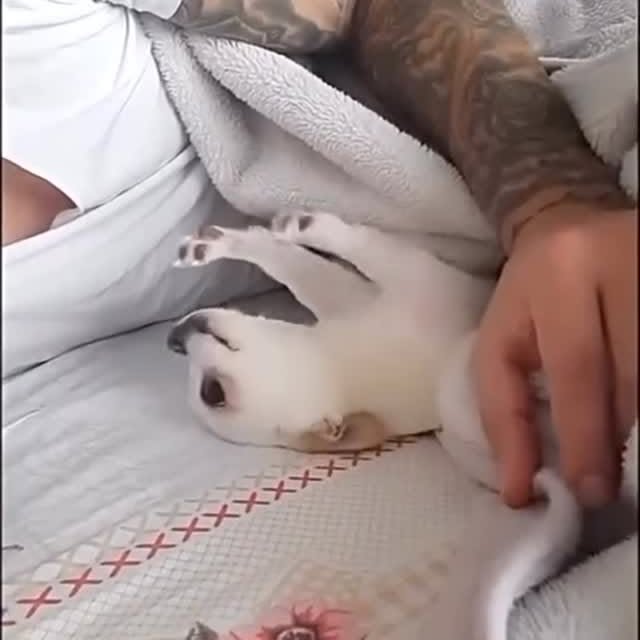  .......uapuppy   'recent posts' 