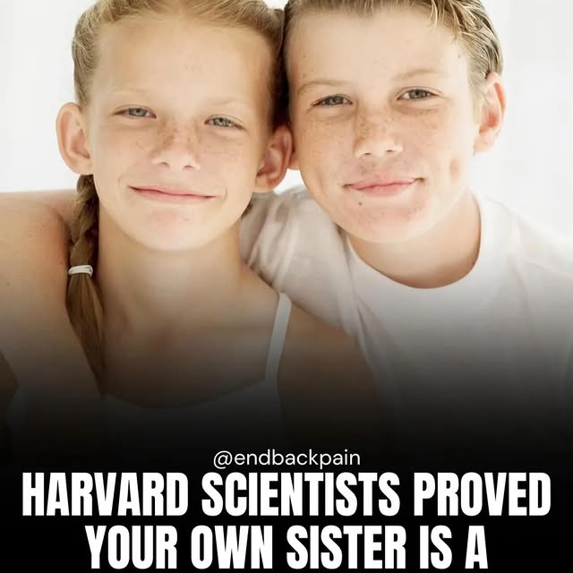  .....lvibee   'recent posts' 