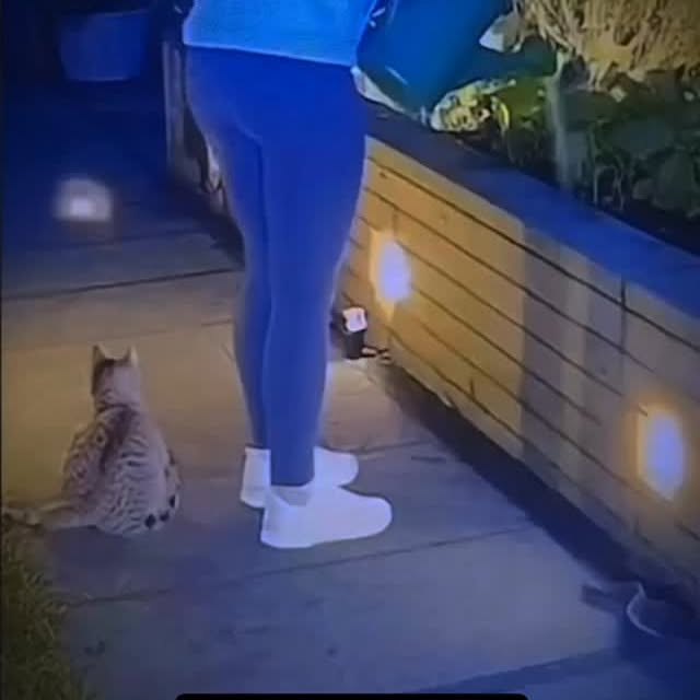  .......eartbeat   'recent posts' 