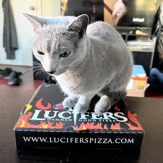  ......n_boris   'recent posts' 