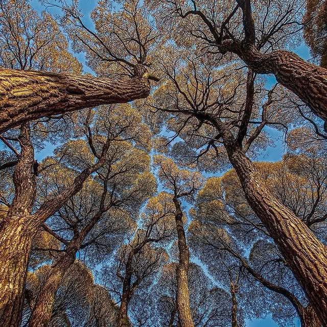  ......sfervor   'recent posts' 