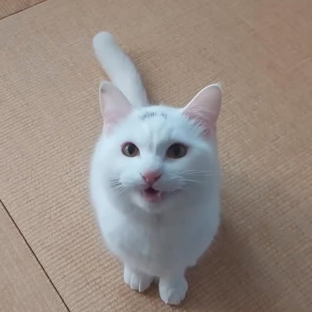  ......kekkek   'recent posts' 