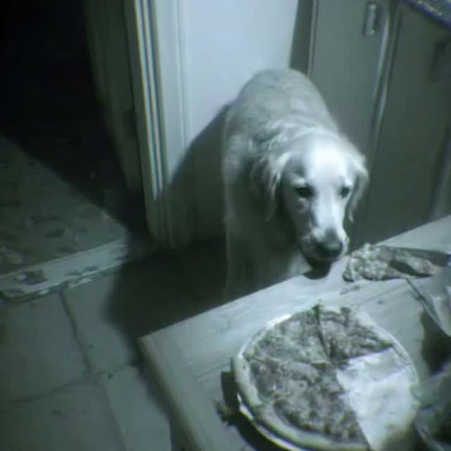  ......psworld   'recent posts' 