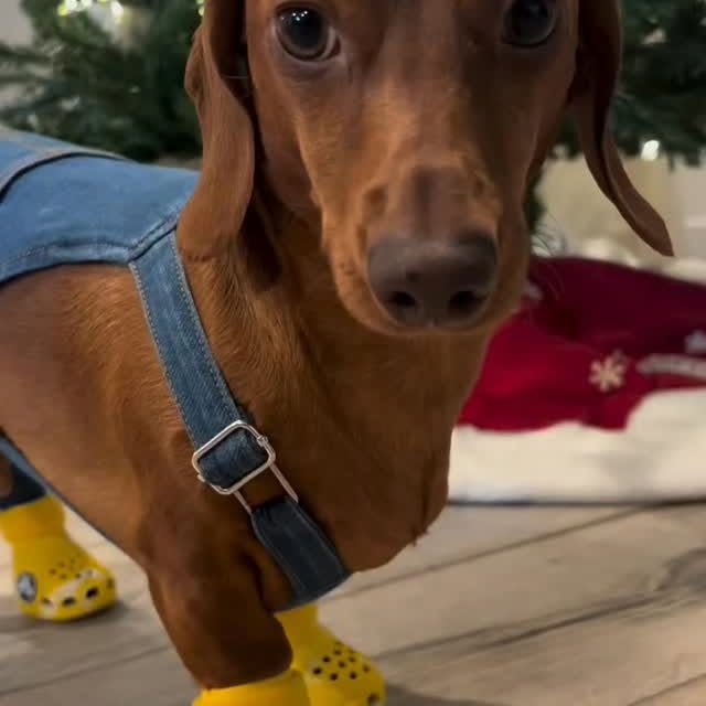  ..........fan.club_   'recent posts' 