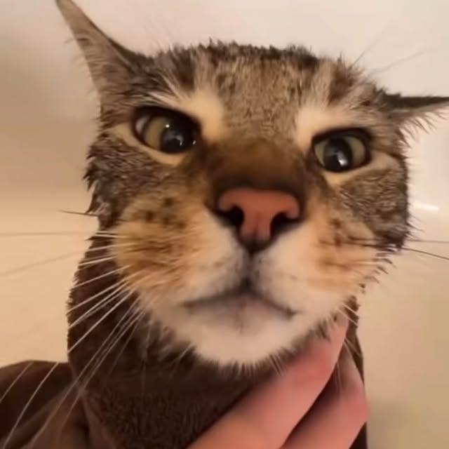  .....li9ht   'recent posts' 