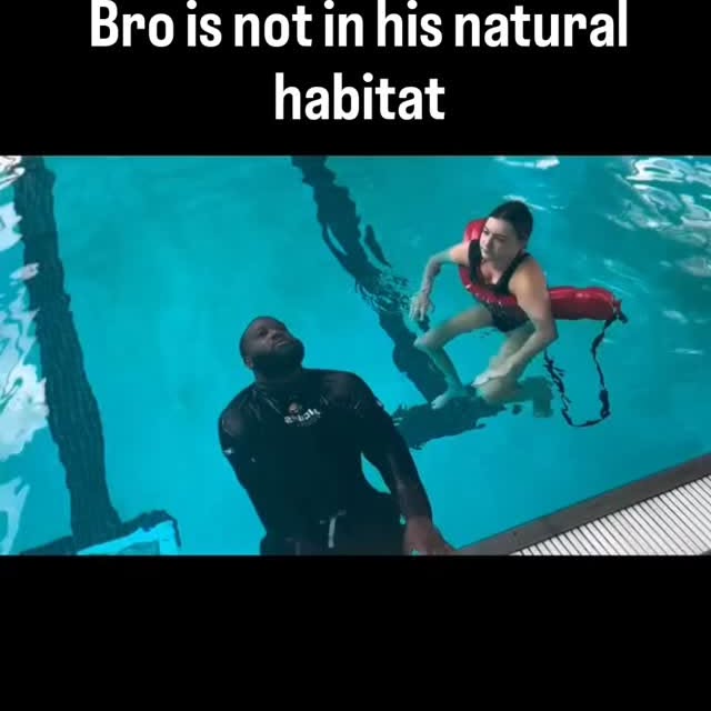  ........st.memes   'recent posts' 