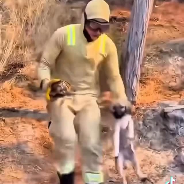  ......estige   'recent posts' 