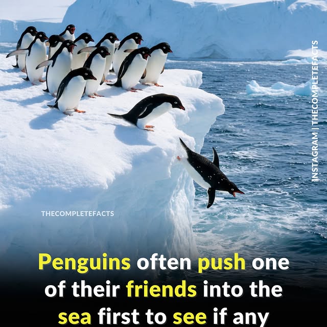  ........etefacts   'recent posts' 