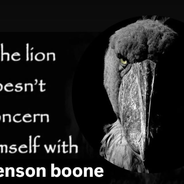  ..........rdoftheday   'recent posts' 