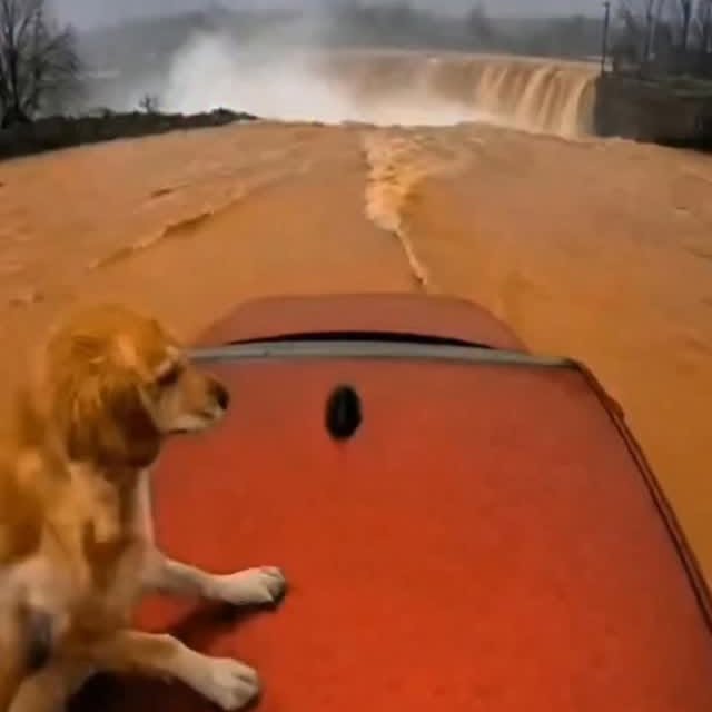  .......xplores   'recent posts' 