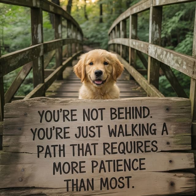  .........ndirector   'recent posts' 