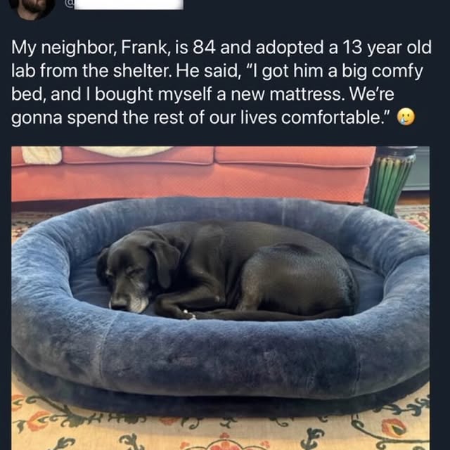  ....fails   'recent posts' 