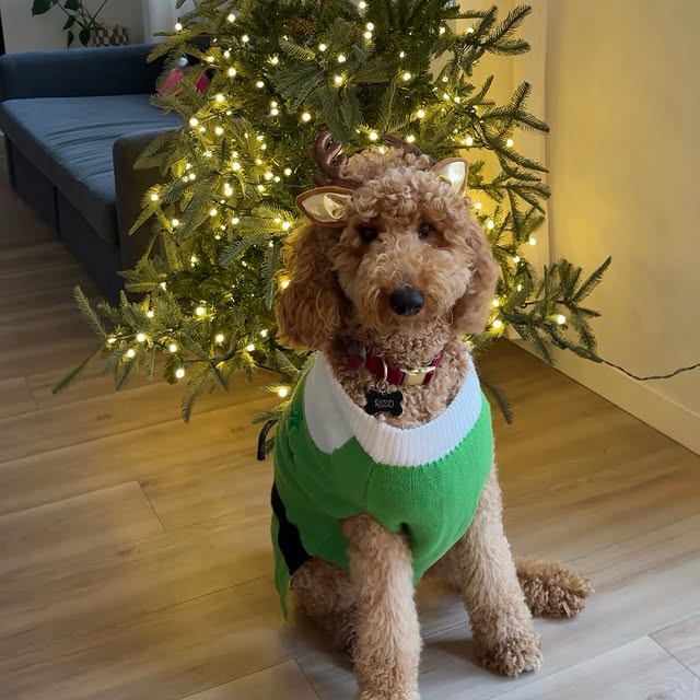  .....wilsun   'recent posts' 