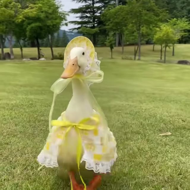  ........ckstatue   'recent posts' 