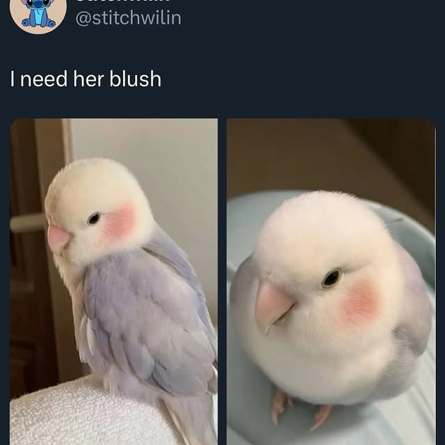  .....hwilin   'recent posts' 