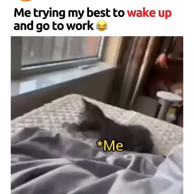  .......tethingz   'recent posts' 