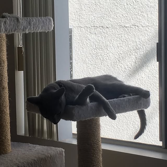  ......n_boris   'recent posts' 