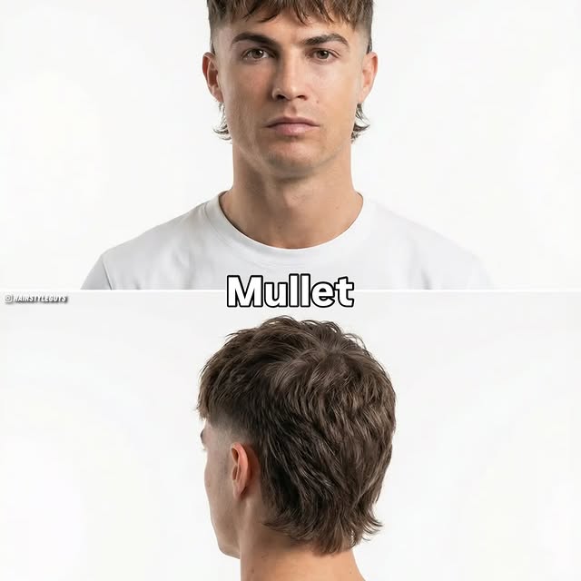  ......yleguys   'recent posts' 