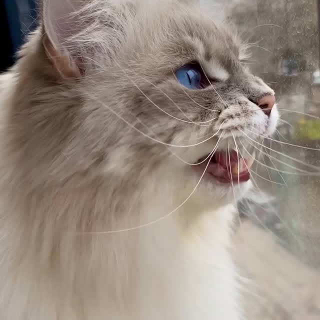  ......kekkek   'recent posts' 