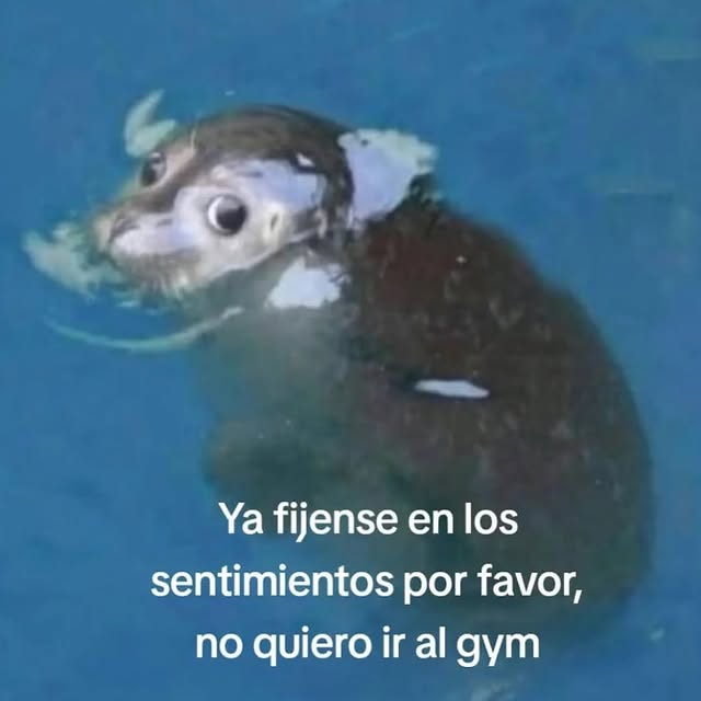  ....orky   'recent posts' 