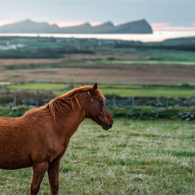  ........phpartsch   'recent posts' 