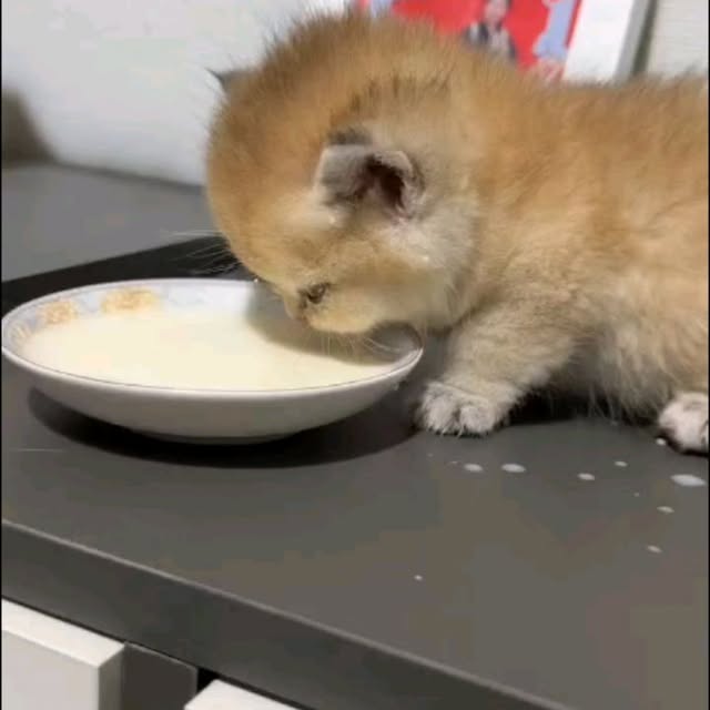  .......uteness1   'recent posts' 