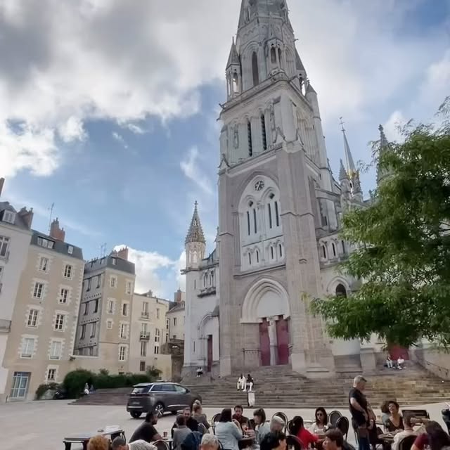  .........gscurator   'recent posts' 