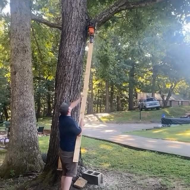  ......khabits   'recent posts' 