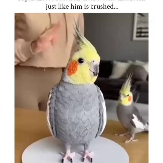  ..spd   'recent posts' 