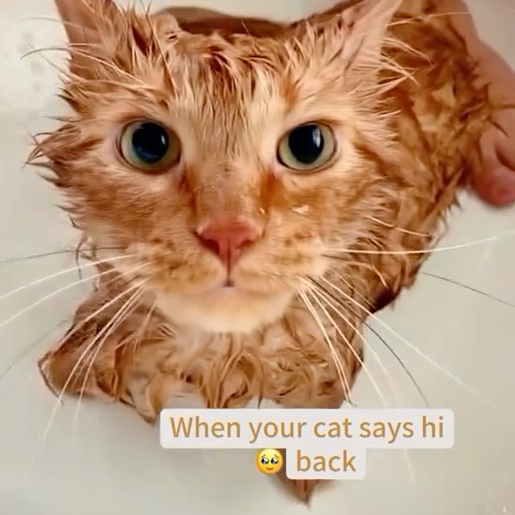  ......atclub   'recent posts' 