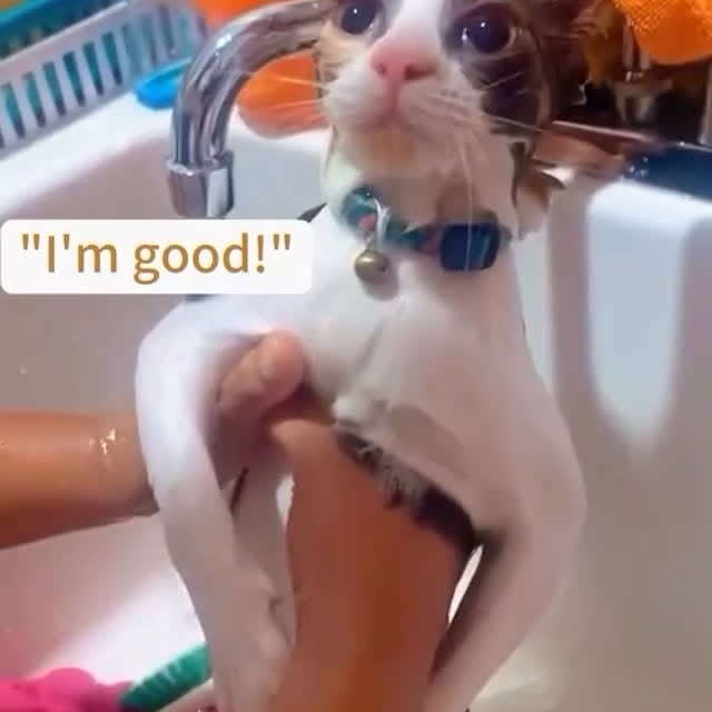  ......f_day_   'recent posts' 