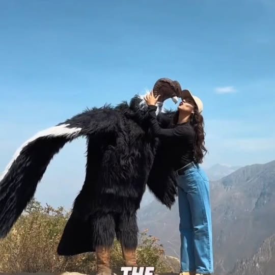  .....acthub   'recent posts' 